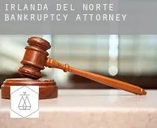 Northern Ireland  bankruptcy attorney