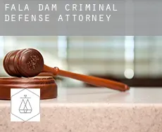 Fala Dam  criminal defense attorney