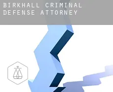 Birkhall  criminal defense attorney