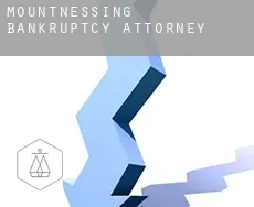 Mountnessing  bankruptcy attorney