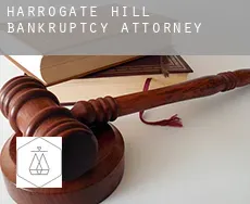 Harrogate Hill  bankruptcy attorney