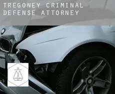 Tregoney  criminal defense attorney