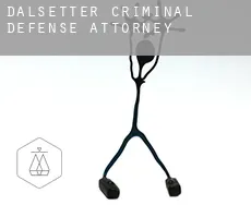 Dalsetter  criminal defense attorney