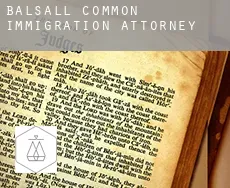 Balsall Common  immigration attorney
