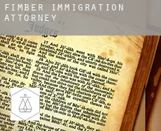Fimber  immigration attorney