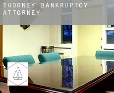 Thorney  bankruptcy attorney