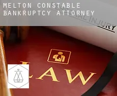 Melton Constable  bankruptcy attorney