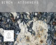 Birch  attorneys