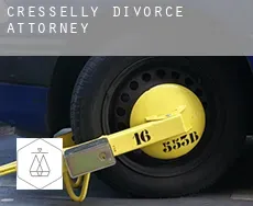 Cresselly divorce attorney