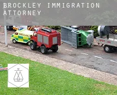 Brockley immigration attorney