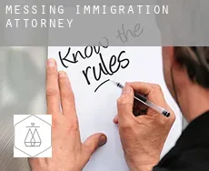 Messing  immigration attorney