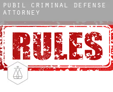 Pubil criminal defense attorney