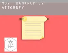 Moy  bankruptcy attorney