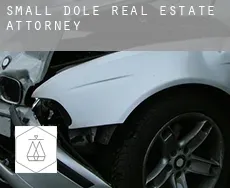 Small Dole  real estate attorney